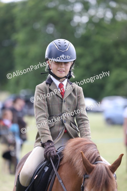 20260614-2065 - Class 21 - Novice Working Hunter Pony