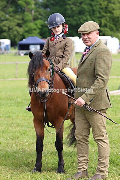 IMG_2344 - Working Hunter