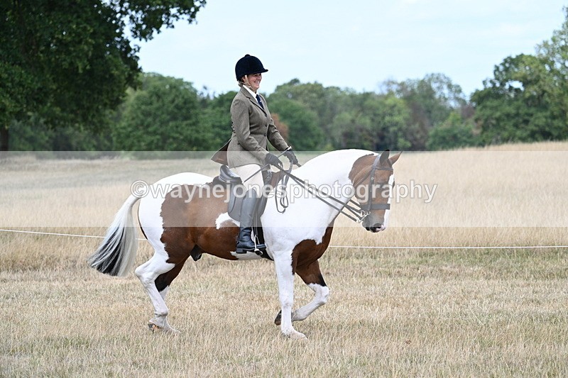 WJ7_4844 - Class 12 Ridden Cob