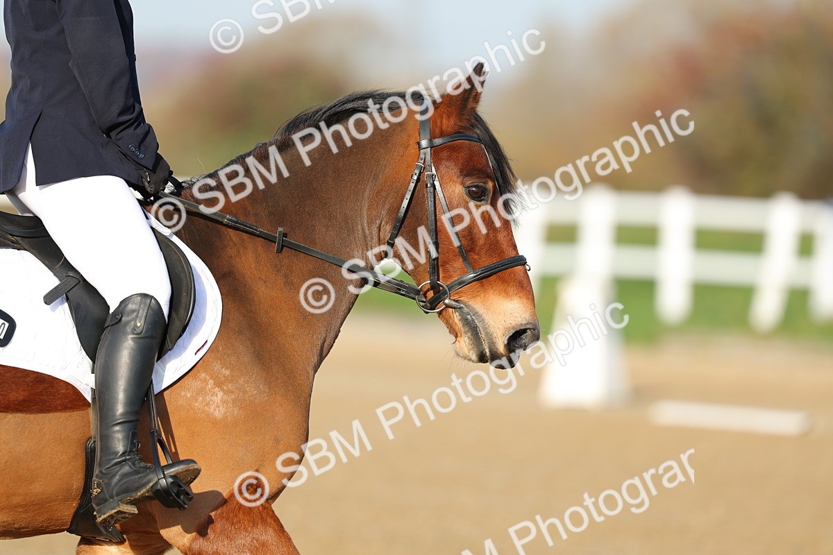 SBM_002980 - Class 1 - Intro 2