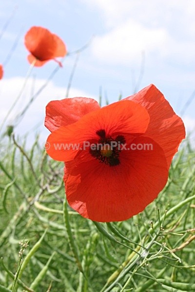 105 - Photos of Wakefield - Yorkshire