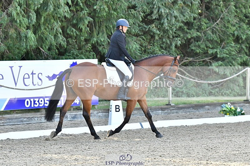260801A-093159-04341 - Prelim Bronze Start - 11.35