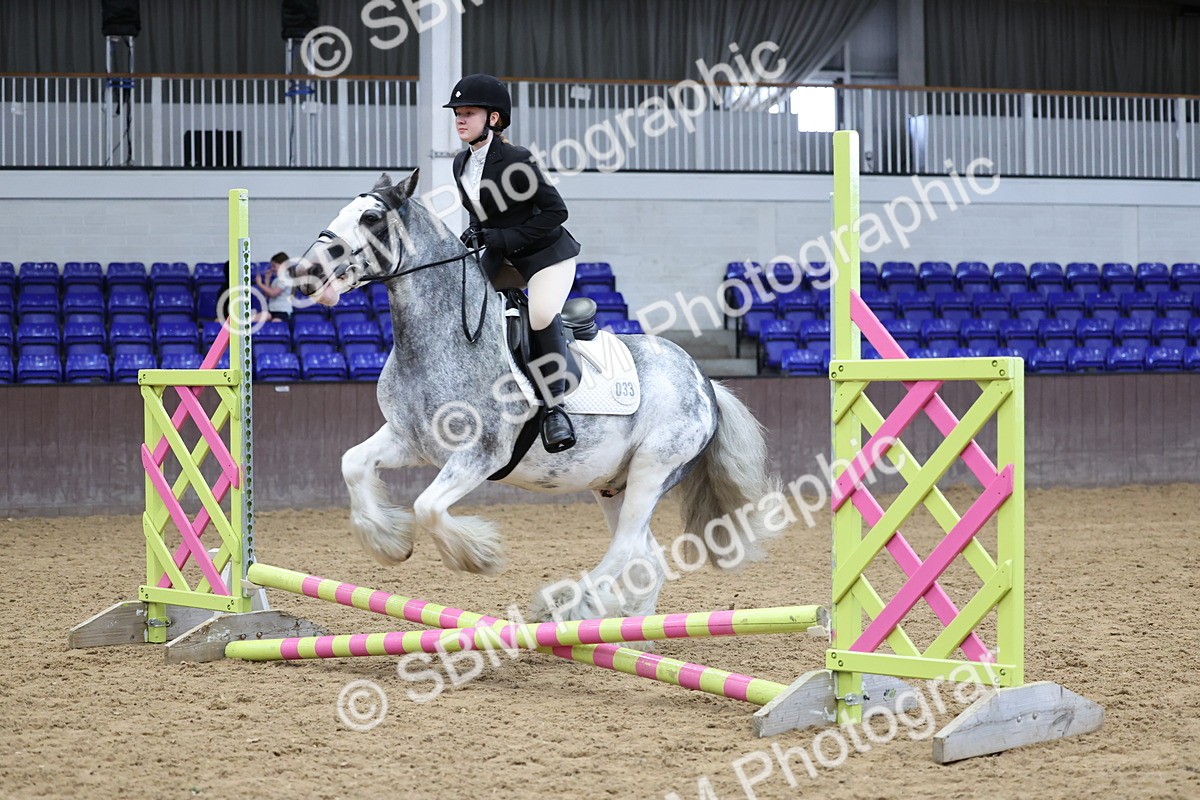 SBM_006903 - Class 1 - 40cm showjumping
