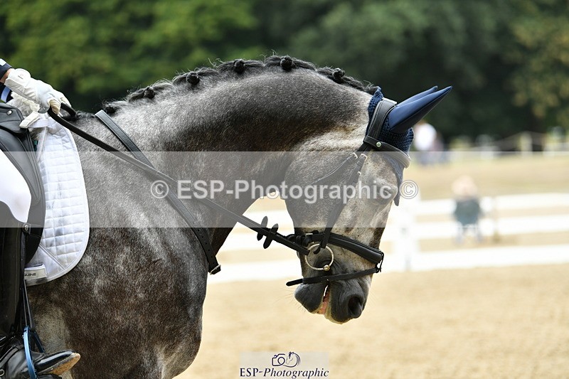 250718A-113651-01173 - 108-Esme.Freeman-Pulsar