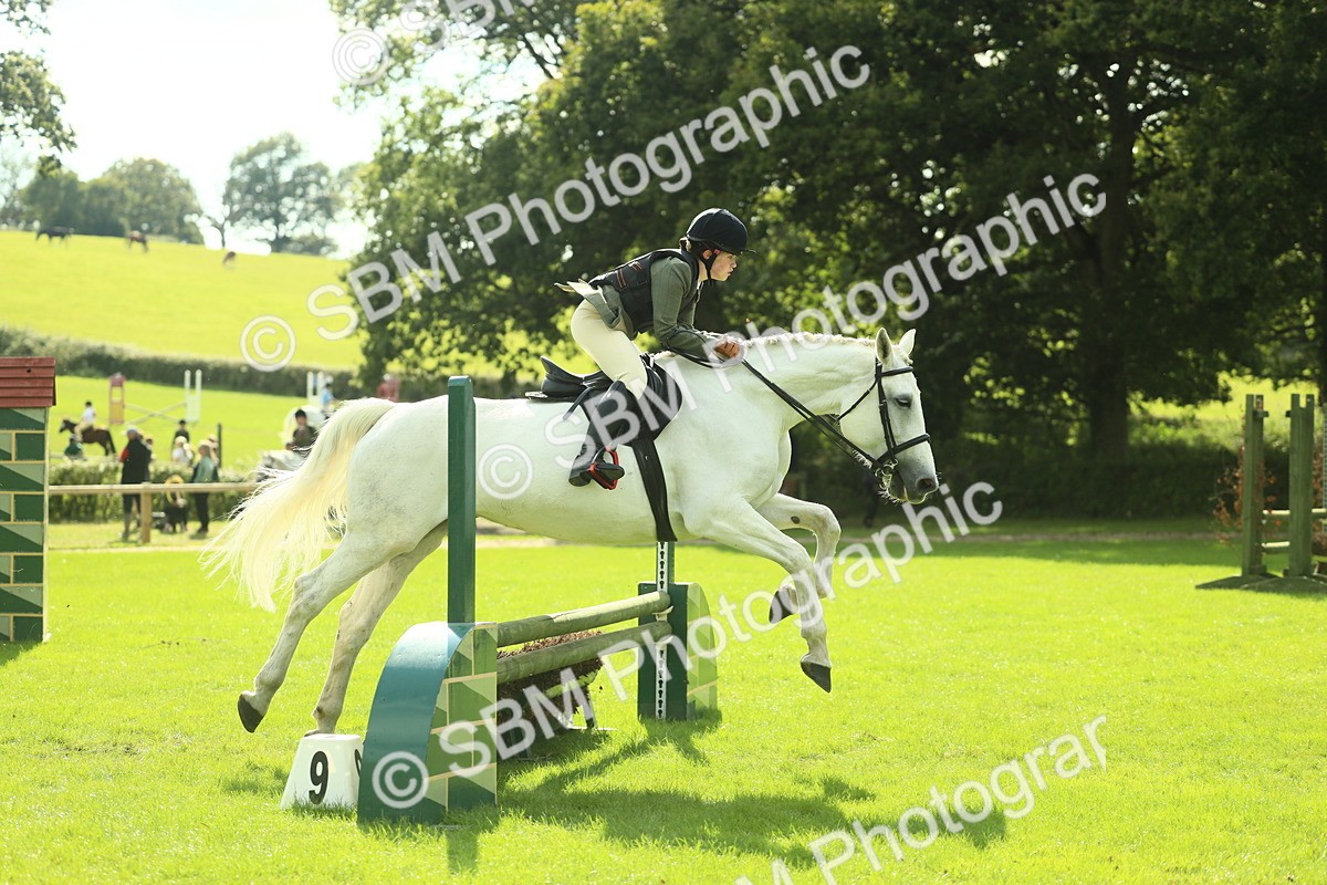 SBM_48048 - S32 - Novice & Newcomers Working Hunter