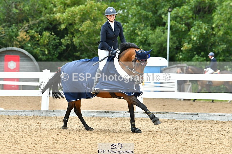 230721A-134029-06625 - Cls 14, 1 Star Bronze 1.10m