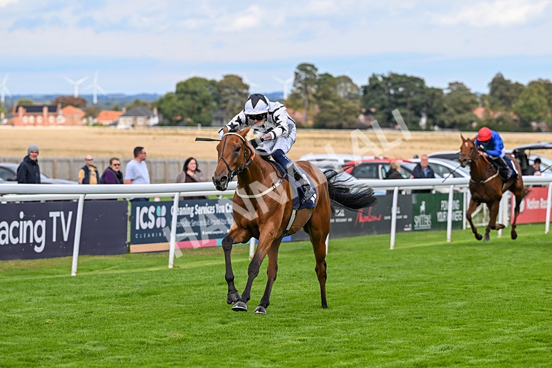 170925-Race 4-Dunkeld Dreamer-4895 - Race 4