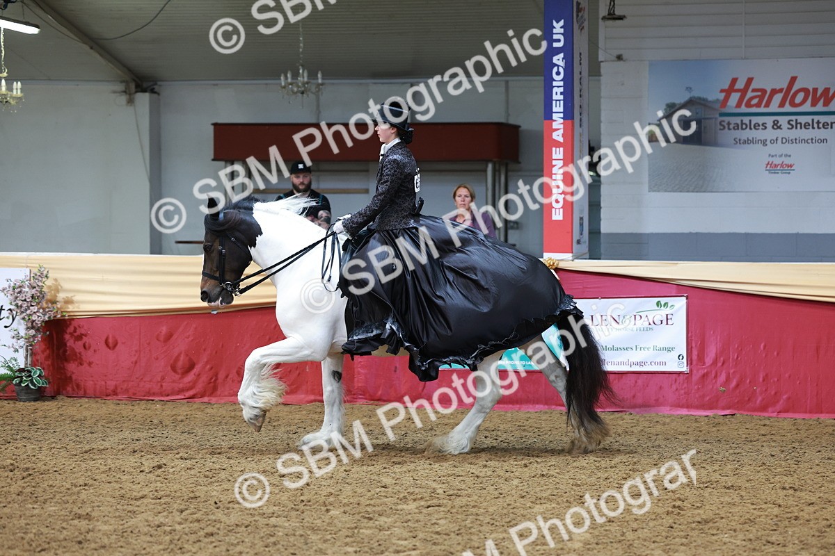 SBM_13780 - Class 106 - Ridden Costume -Astride Adult (15-19)