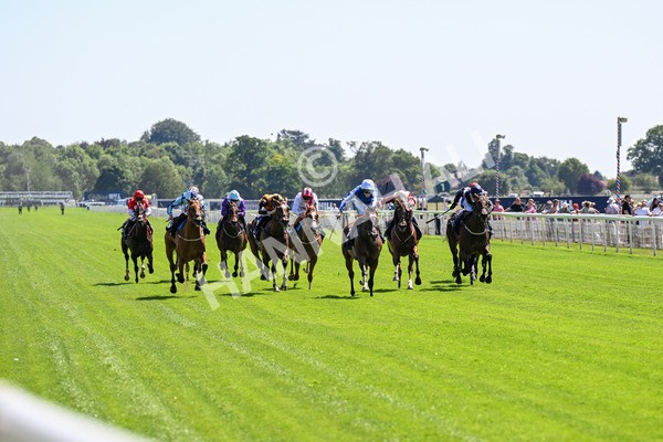 110725-Race 2-Sayidah Dariyan-0194 - Race 2 2.45pm William Hill Summer Stakes
