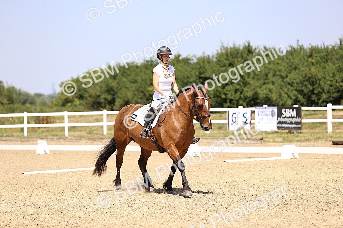 SBM_004002 - Intro 2
