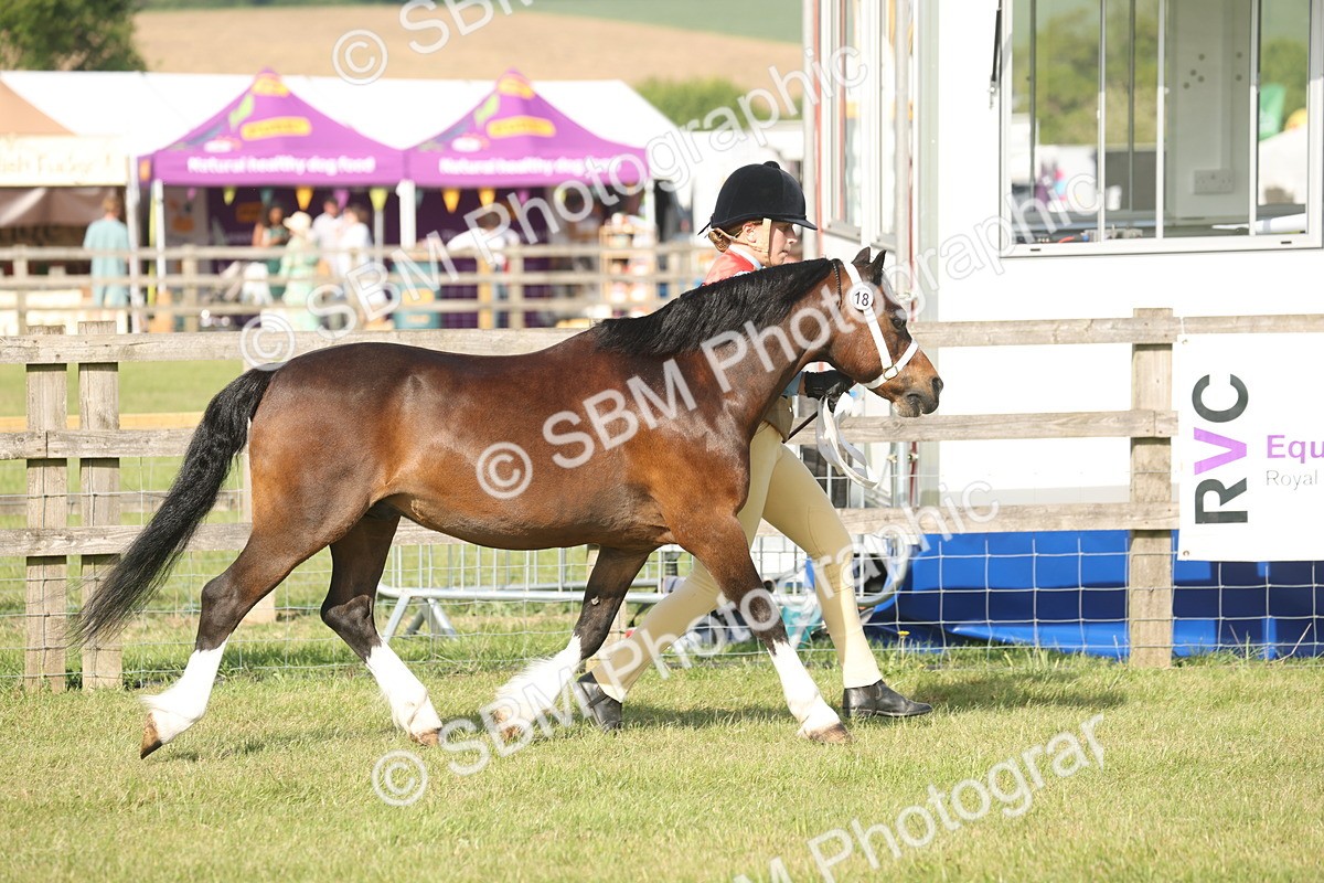 SBM_10308 - Class 33-38 - SSADL RIHS Qualifiers
