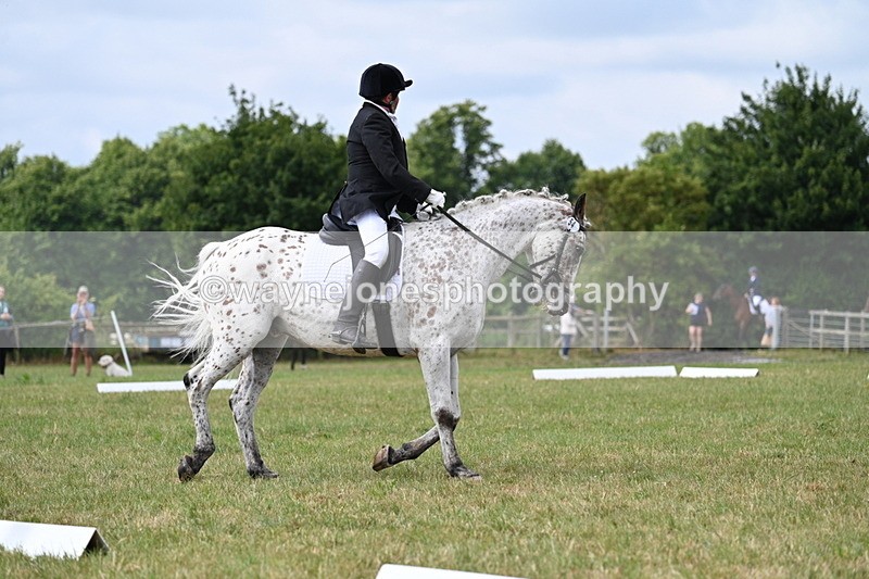 WJ7_2355 - Time 09:24 to 09:49