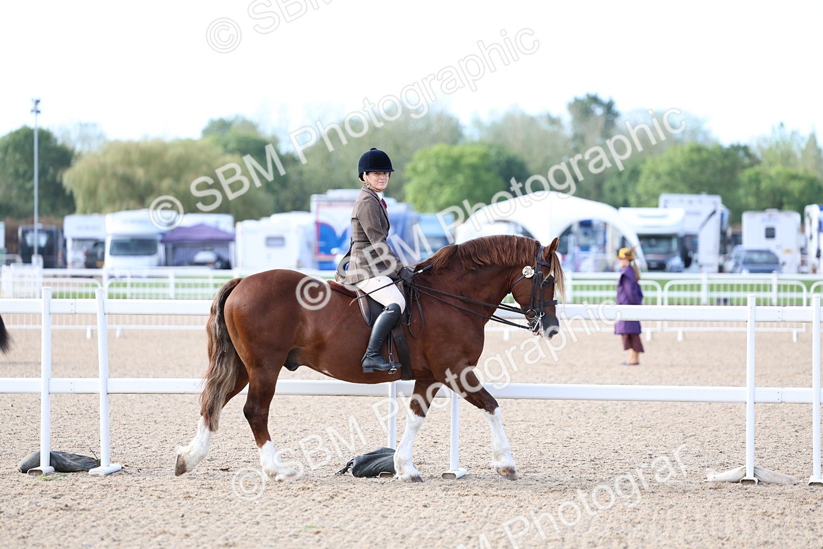 SBM_16718