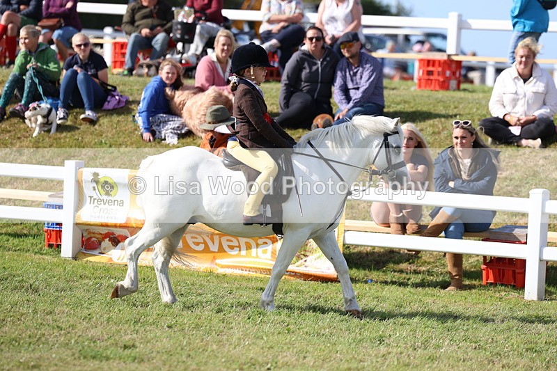 3E7A3784 - Supreme Championship