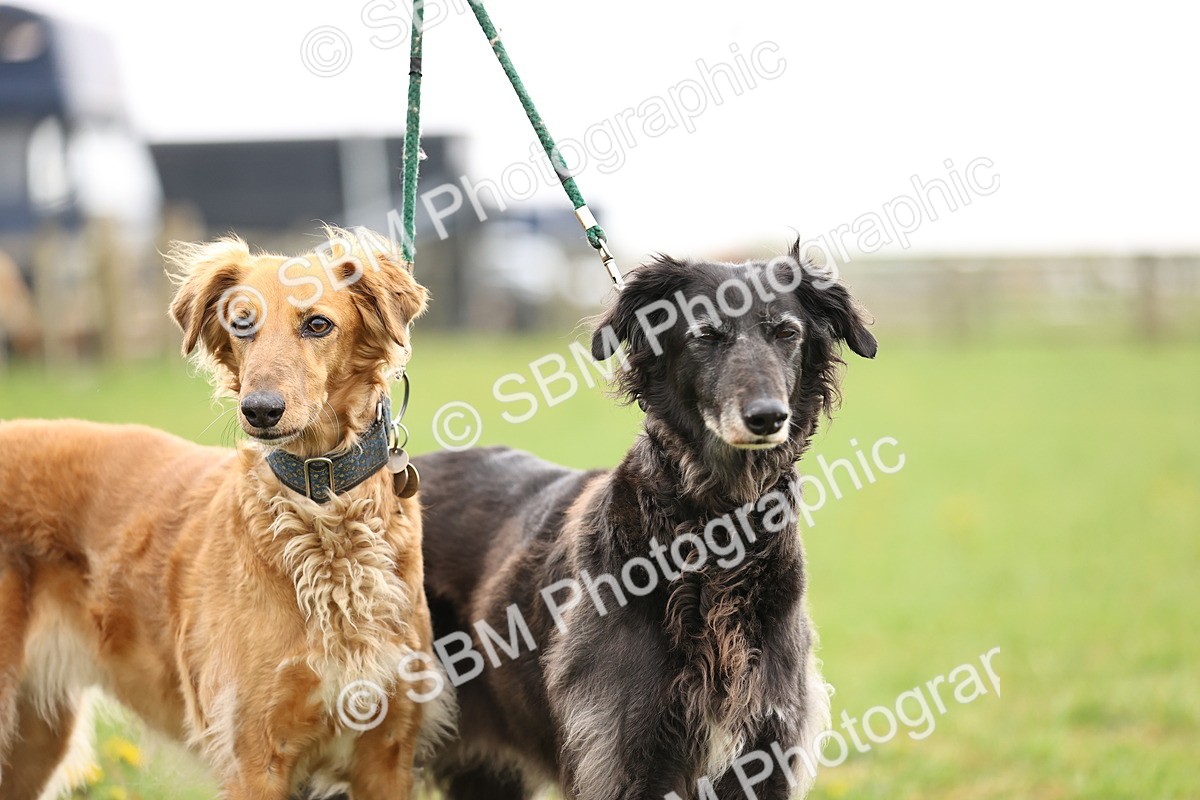 SBM_000259 - Class 3 - P4