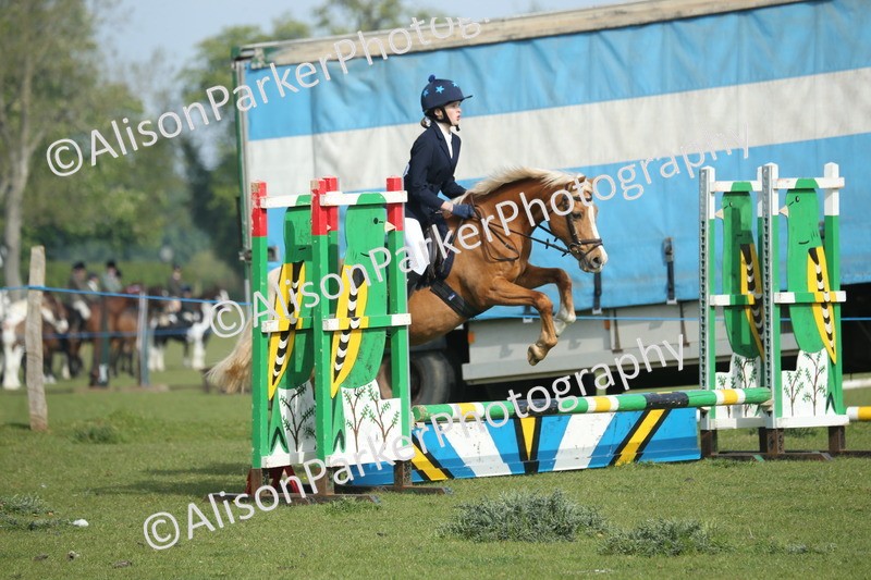 20260426-0152 - Class 13 - Rookie Jumping 50cm