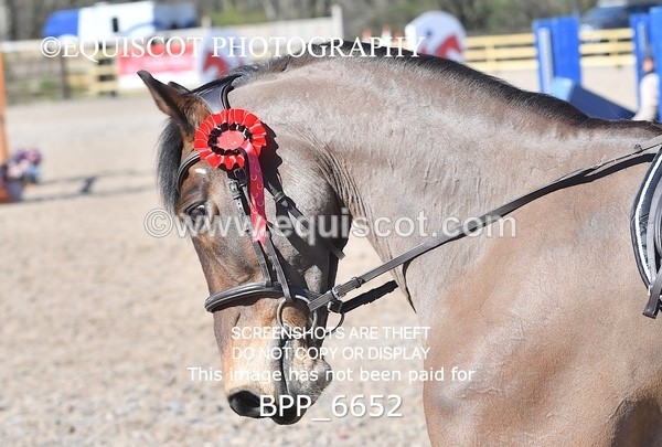 BPP_6652 - CLASS 11 SUN Liz Fox Royal Highland Show JD/JC Championship Qualifier