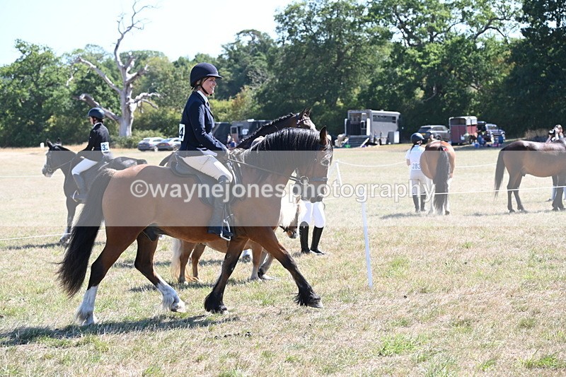 WJ6_8243 - Class 37a Best Loan Pony Ridden