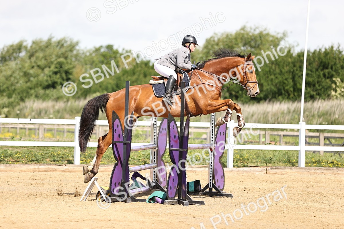 SBM_002056 - Class 9 - Senior British Novice - 90cm