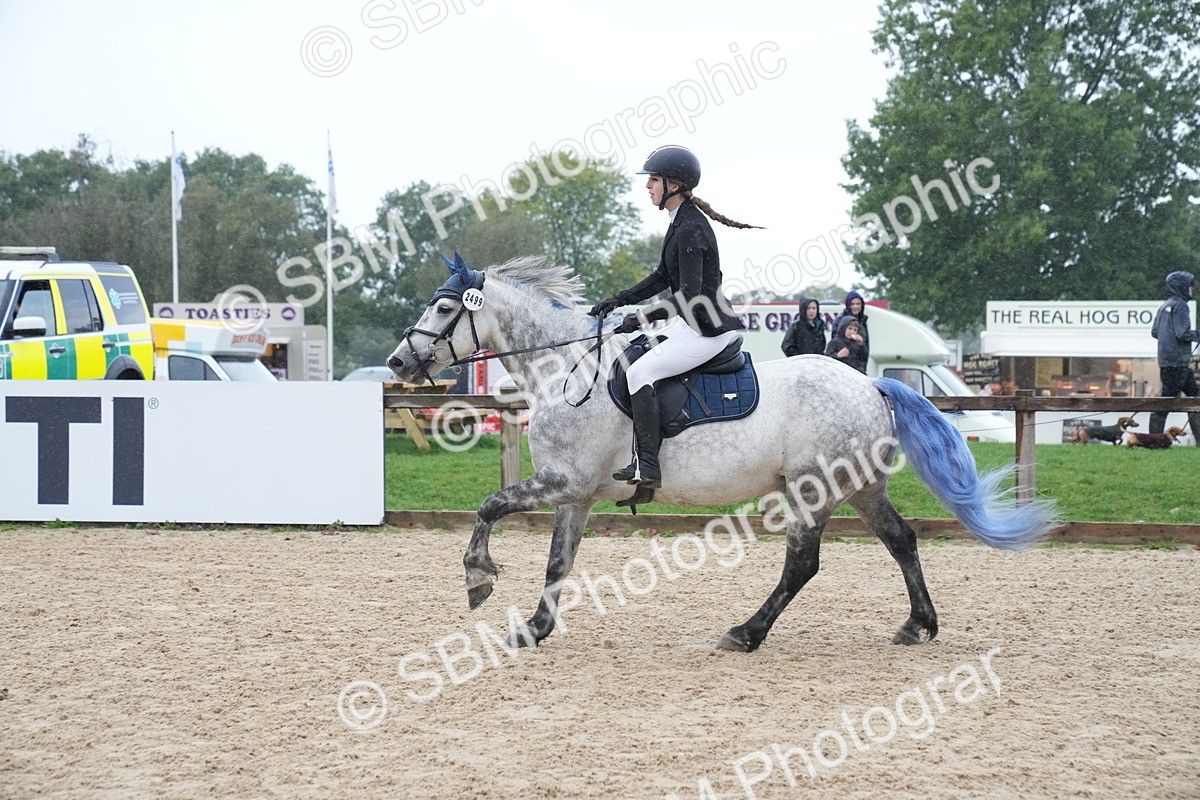 SBM_01624 - J54 - Clear Round 50cm