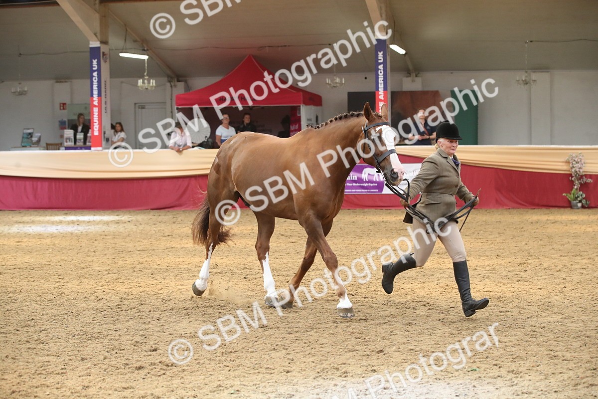 SBM_05664 - Class 9R - Regional IH Pre-Vet