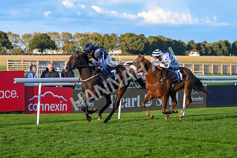 240924-Race 8-Claxton Bay-7166 - Race 8