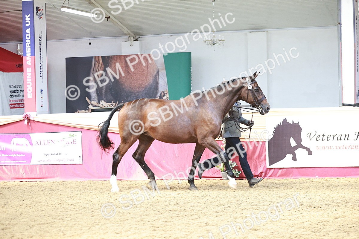 SBM_04767 - Class 7R - Regional IH Diamond