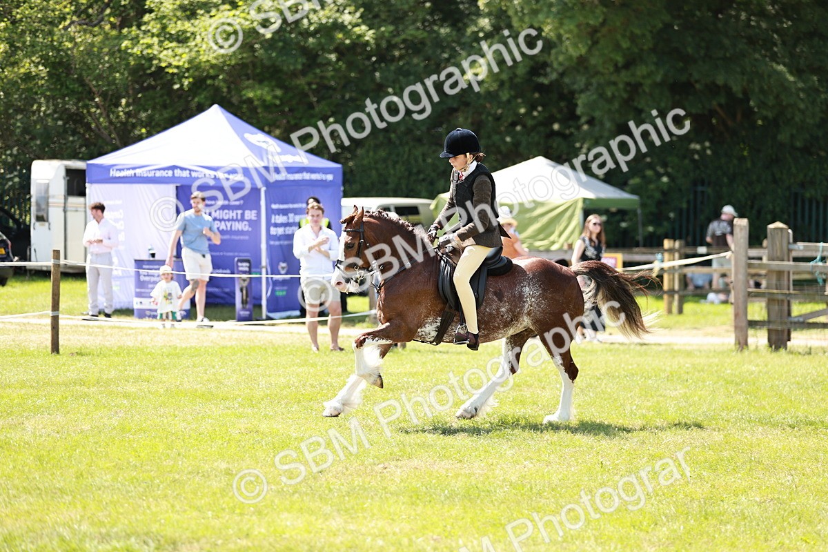 SBM_15529 - Class 108-109 - BSPS LIHS Open Gradle & Nursery Stakes