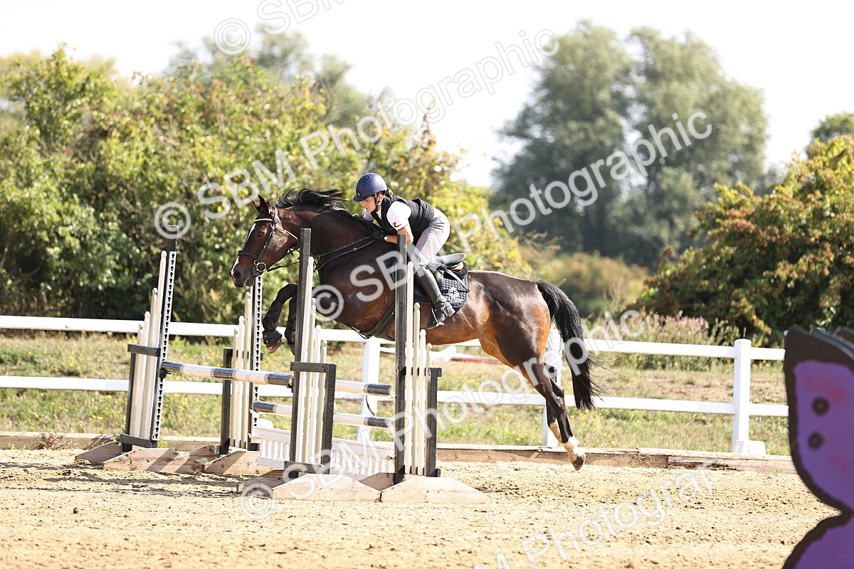 SBM_005712 - Class 9 - Senior British Novice - 90cm