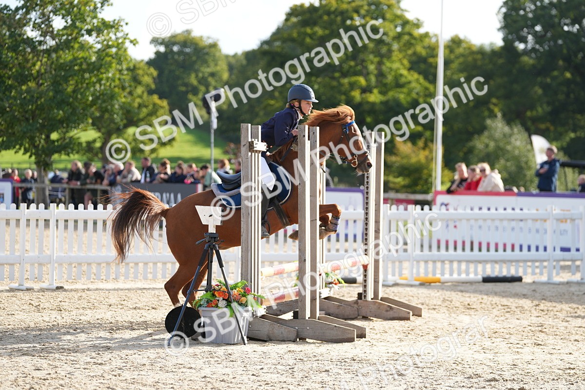 SBM_51153 - J8 - Junior Pony 65cm Championship
