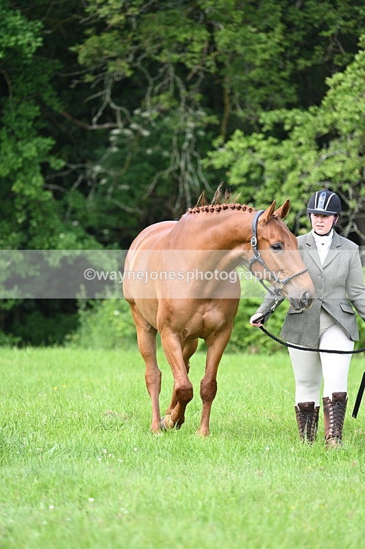 WJ7_0986 - Class 11 Condition & Turnout