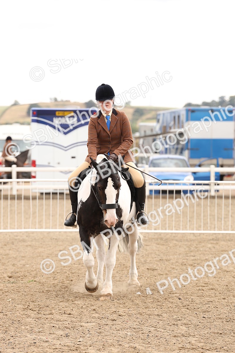 SBM_06235 - Class 57b -  Style & Performance - 60cm (20+)