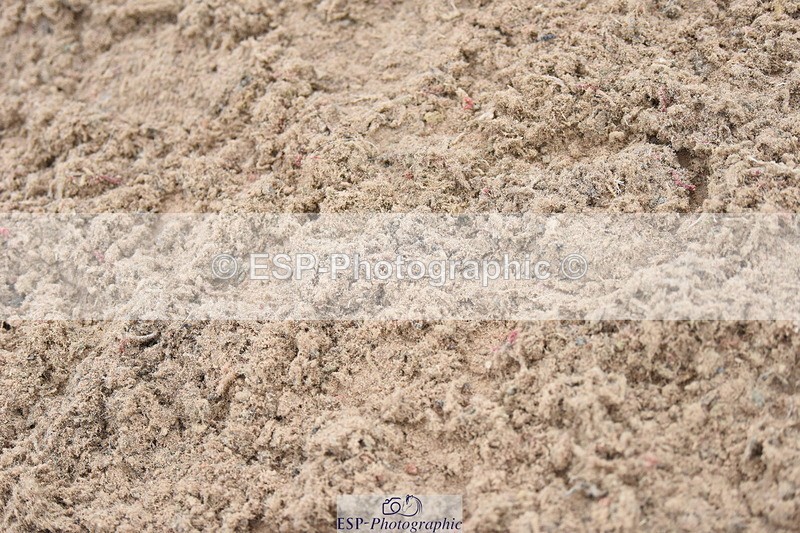 230916A-110936-04024 - Cls 14 Snr Foxhunter