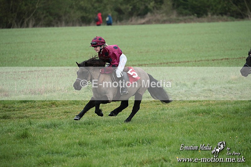 SHETPR 210425 120 - Shetland Ponies Paxford Races 21/04/25