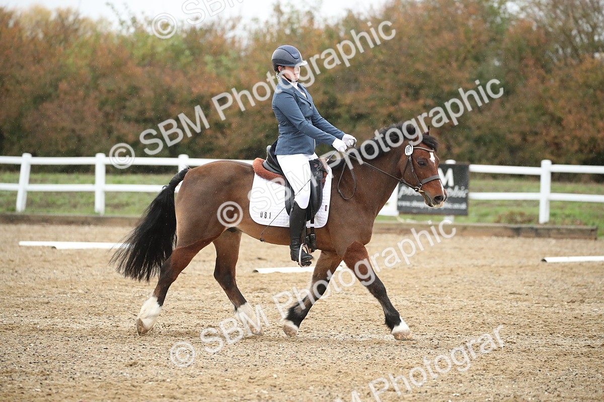 SBM_001686 - Prelim 2
