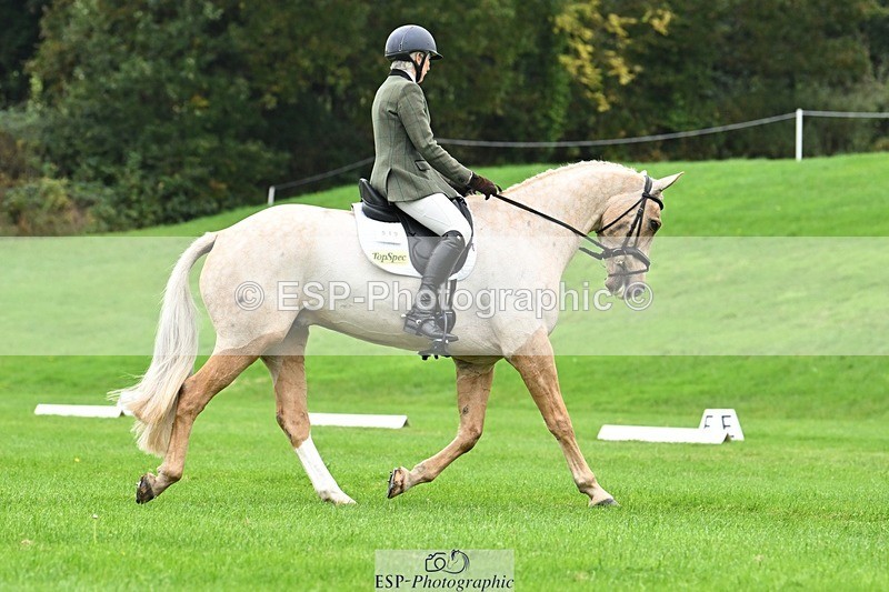 241024-125018-03526 - 519-Jane.Rogers-CORRIEVIEW.MERLIN.MAGIC