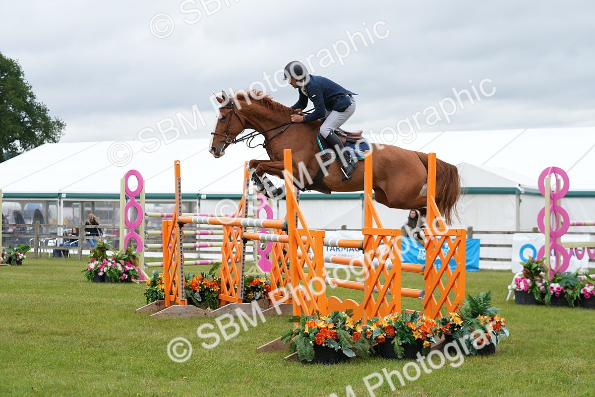 SBM_03469 - Class 201 - British Horse Feeds Speedi Beet Horse of the Year Show Grade  C