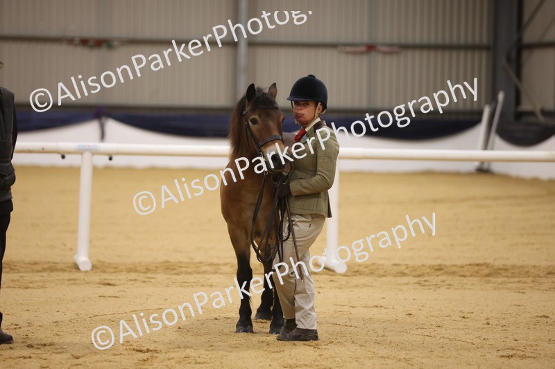 20260913-1027 - Class 109 - Bred On Exmoor In Hand