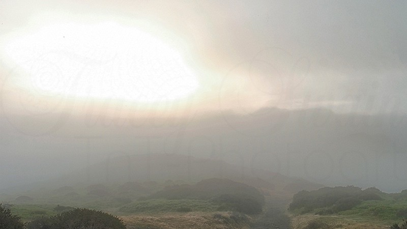 Long Mynd Fog Path 15620 3853 - Air Element