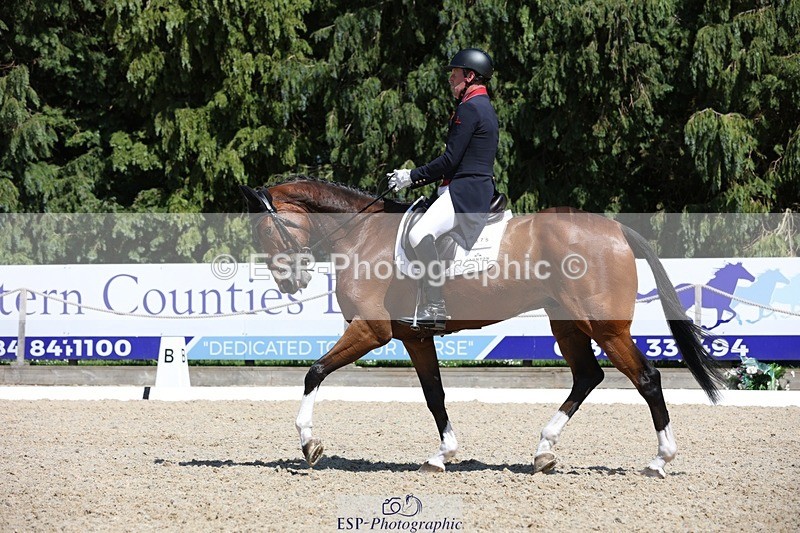 230526-144743-06549 - 375-FINLEY_DU_LOIR-Oliver_Townend-WEDTrotUp+DR