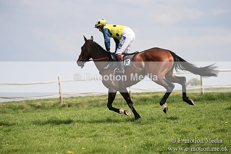 PtP 210418 411 - South & West Wilts Point-to-Point Larkhill 21/04/18