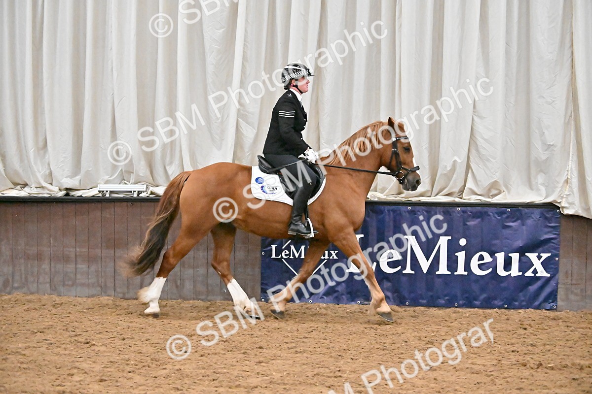 SBM_002952 - Class 37,38 - UKPSAF Performance Horse & Pony