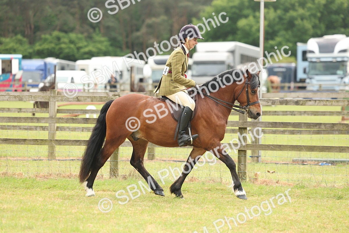 SBM_09173 - Class 78-80 - Ridden M&M Non Welsh Ponies