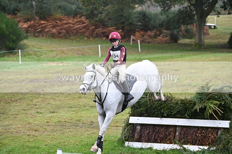 WJ6_2310 - 80cm Cam 1 Time 10:47 to 11:22