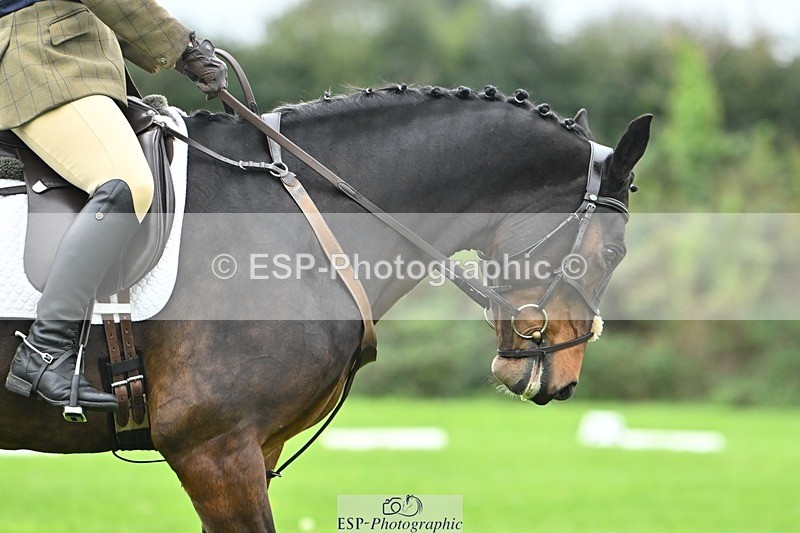 241024-104612-02267 - 311-Janine.Paterson-WILLOWAY.AMIGO