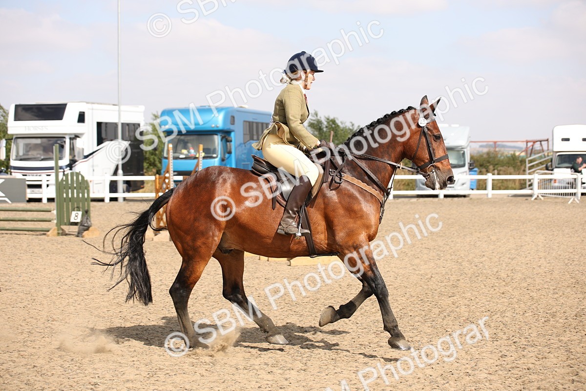 SBM_14356 - Class 407b - Working Veteran 60cm (20+)