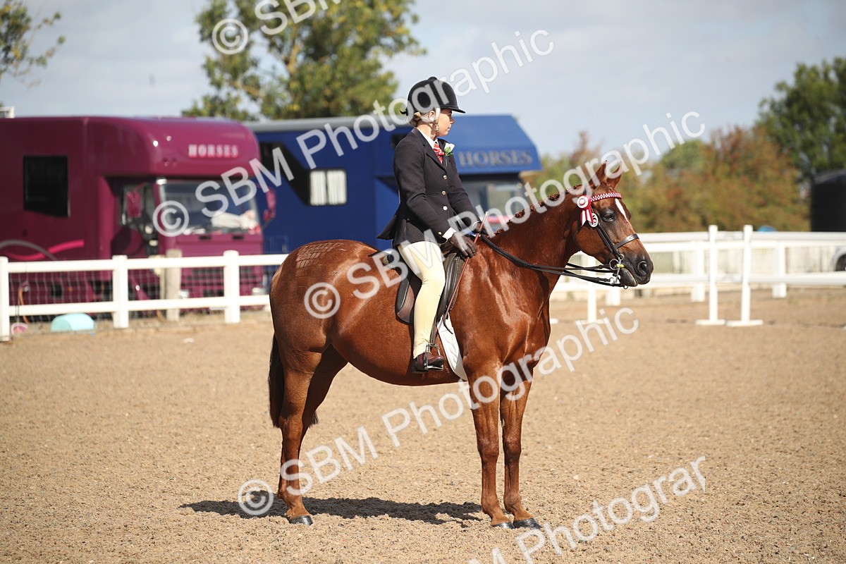 SBM_22961 - Class 603 - 2026 - Ridden Pre Vet