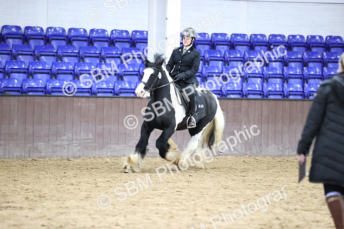 SBM_6379 - Class 45-42 - Ridden Irish Breeds-Ridden Cob