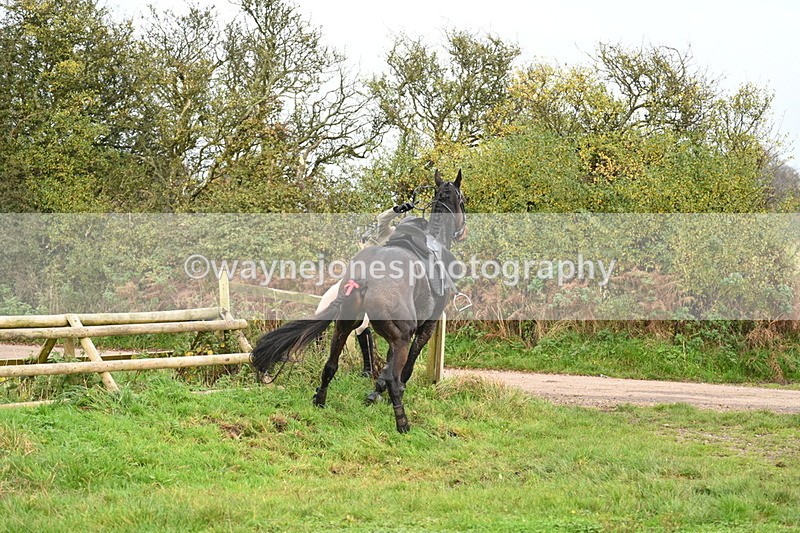 WJ7_0433 - Camera 1 & Last fence