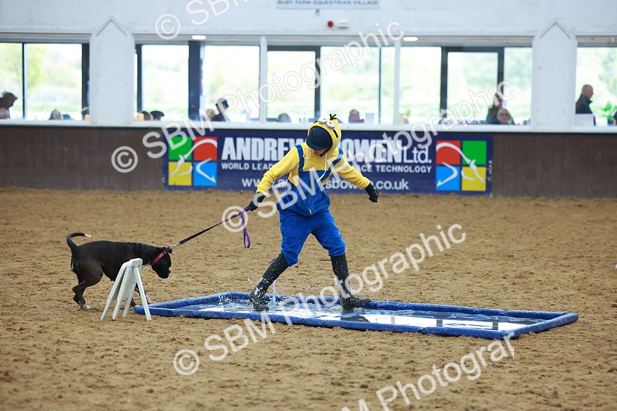 SBM_002253 - Class 3 - Horse & Hound (60cm)